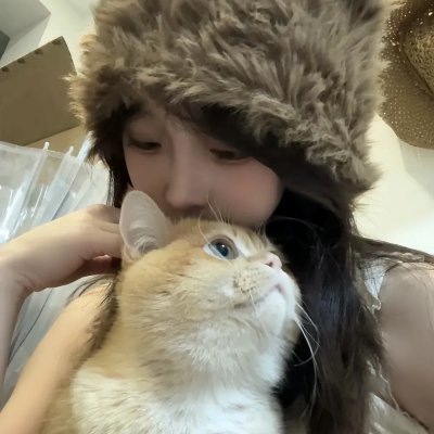 小狗吉米走私事件 封面